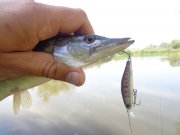 DSC02647.JPG
