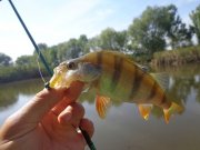 DSC02648.JPG