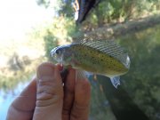 DSC02649.JPG