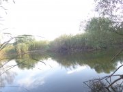DSC02655.JPG