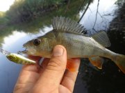 DSC02657.JPG