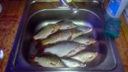 IMG_20140908_180216.jpg