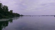 IMAG1619.jpg