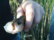 DSC09243.JPG