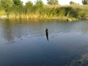 DSC09245.JPG