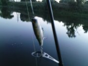 DSC09248.JPG
