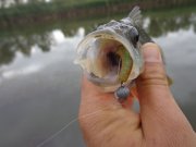 DSC02675.JPG