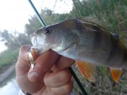 DSC02661.JPG