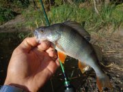 DSC02663.JPG