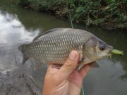 DSC02665.JPG