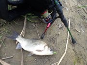 DSC02666.JPG