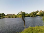DSC09198.JPG