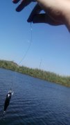 IMG_20140913_125326.jpg