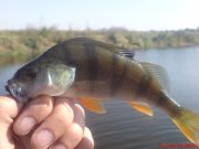 DSC01590.JPG