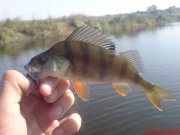 DSC01591.JPG