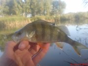 DSC01594.JPG