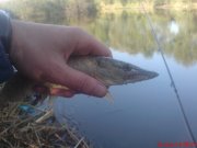 DSC01595.JPG