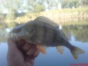 DSC01596.JPG
