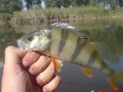 DSC01599.JPG