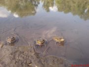 DSC01598.JPG