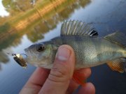 DSC02679.JPG
