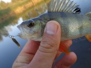 DSC02680.JPG