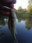DSC02681.JPG