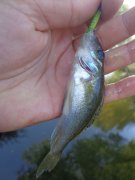 DSC02682.JPG