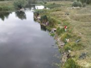 DSC09255.JPG