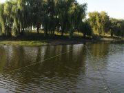 DSC09263.JPG