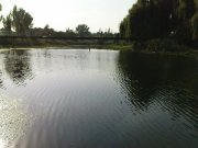 DSC09264.JPG