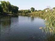 DSC09265.JPG