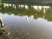 DSC09267.JPG