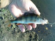 DSC09270.JPG