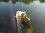 DSC09274.JPG