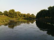 DSC09277.JPG