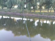 DSC09278.JPG