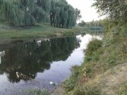 DSC09285.JPG