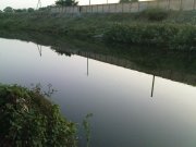 DSC09286.JPG