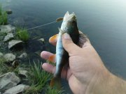 DSC09289.JPG