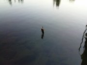 DSC09290.JPG