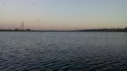 IMG_20140918_062915.jpg