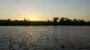 IMG_20140918_062920.jpg
