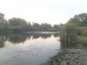 DSC09307.JPG