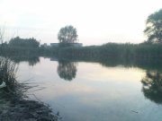 DSC09308.JPG