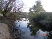 DSC02699.JPG