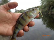 DSC02705.JPG