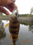 DSC02707.JPG