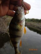 DSC02708.JPG