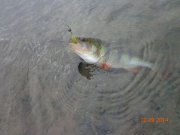DSC02711.JPG